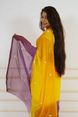 Tangy Chiffon Saree